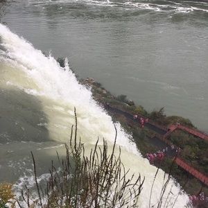 Meet your Posher, Wayne